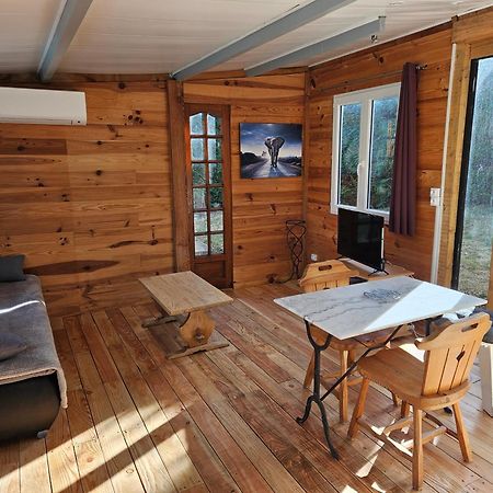Chalet Banane Devant Piscine, A 6Km Du Festival De Piano De La Roque D'Antheron Rognes Bagian luar foto